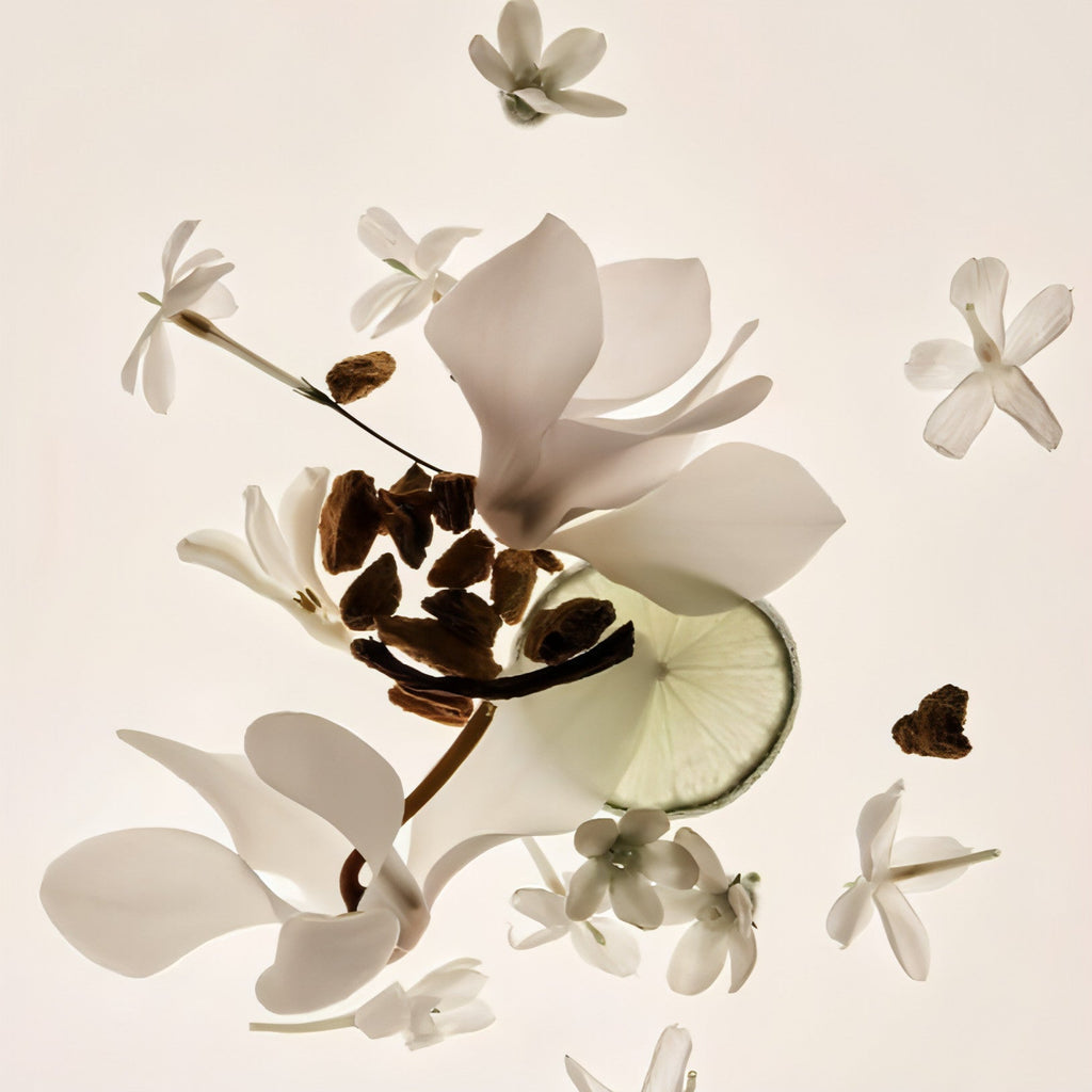 Vanilla Skin - Parfum Sans Alcool Longue Tenue
