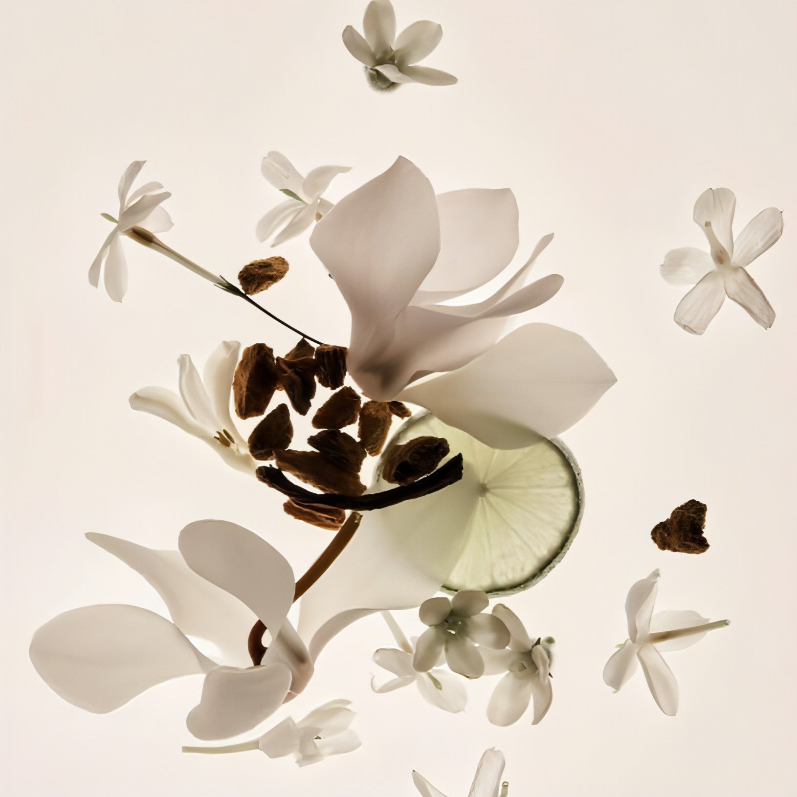 Vanilla Skin - Parfum Sans Alcool Longue Tenue