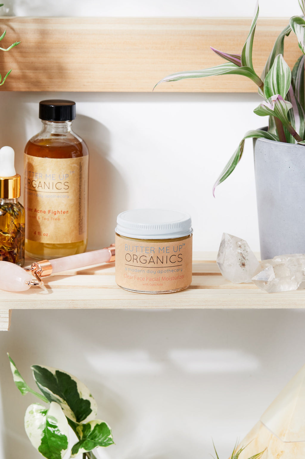 Crème de Nuit Anti-Âge au Thé Vert Bio