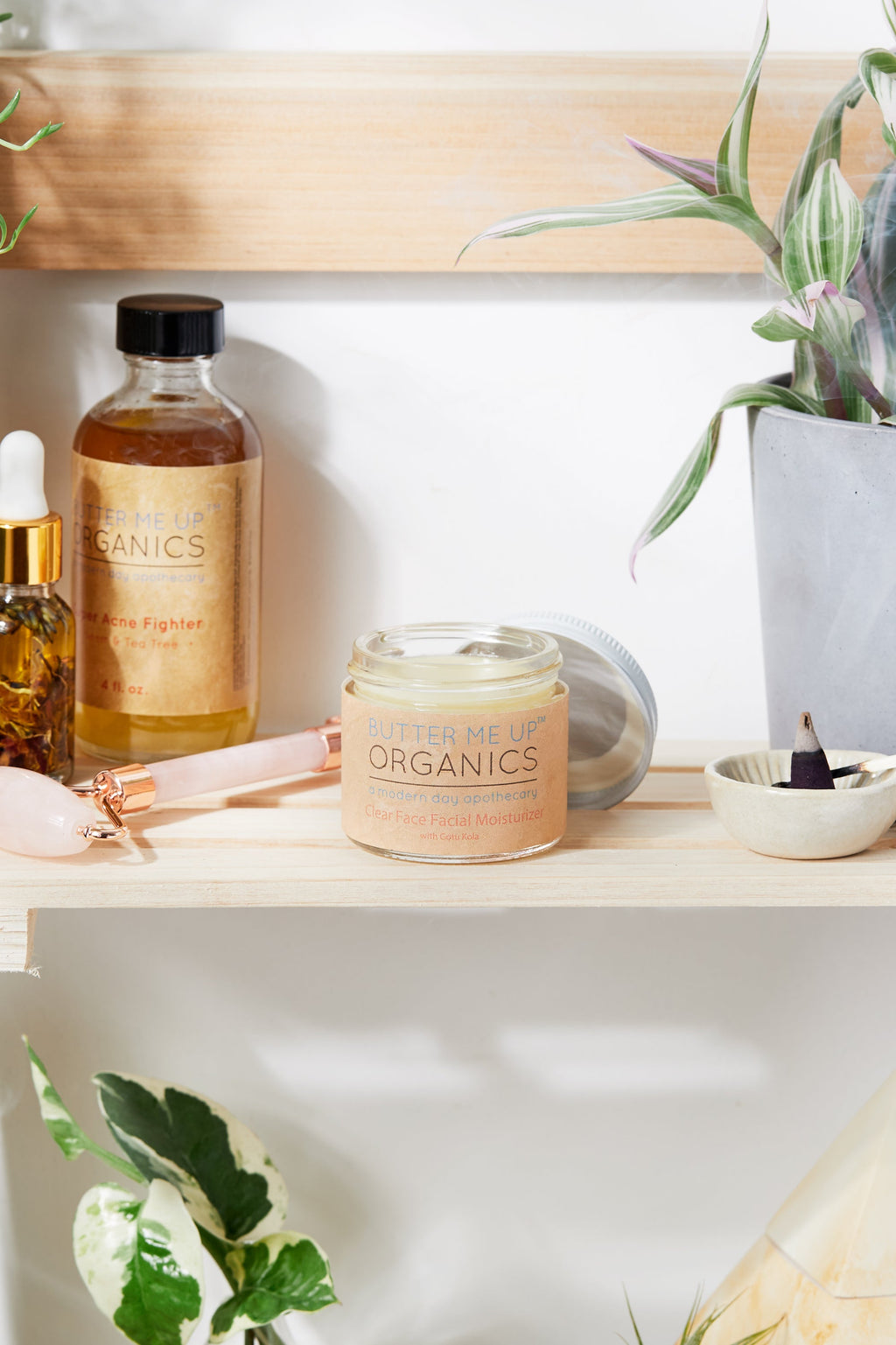 Crème de Nuit Anti-Âge au Thé Vert Bio