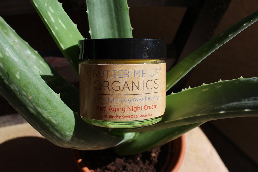 Crème de Nuit Anti-Âge au Thé Vert Bio
